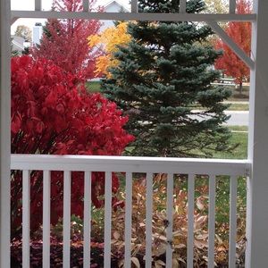 Meet your Posher, Karen